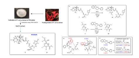 Determination of the Absolute Configuration of Secondary Alcohols in a ...