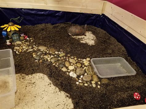 Image result for Box Turtle Homes