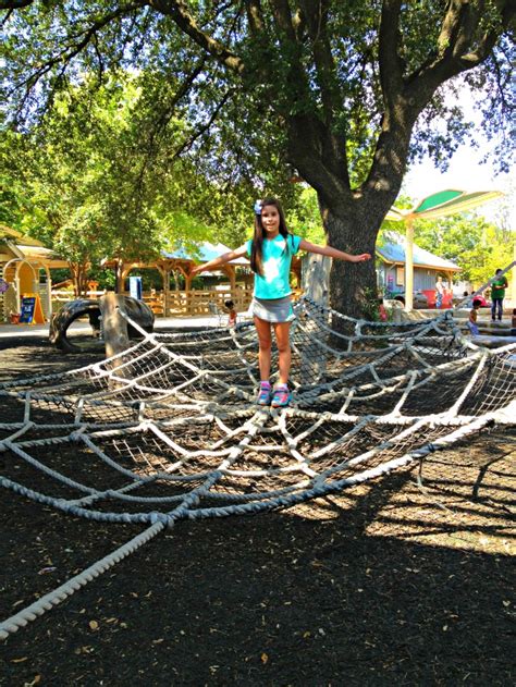 Zoo Train To My 的图像结果