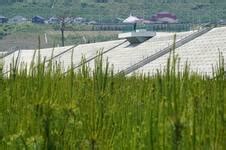 【動画】【探訪＆動画】「高田松原」託された50年後 岩手・陸前高田 - 産経ニュース