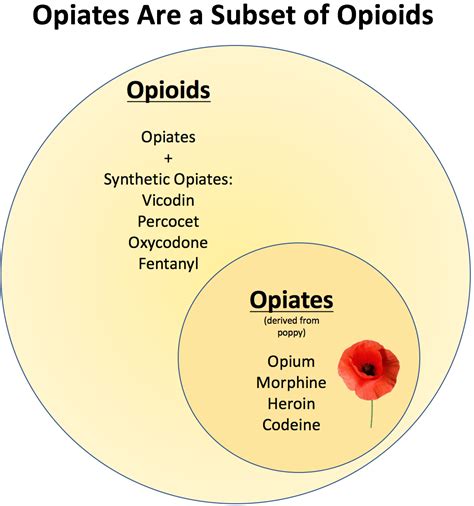 Opioids vs. Opiates & Their Differences | MATClinics