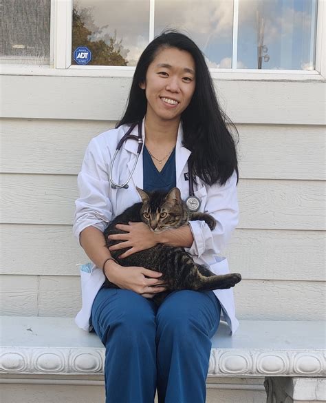 Veterinarians — Warm Springs Pet Hospital