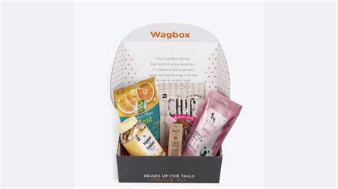 Ethical & Eco-friendly Pet Gift Ideas – Koparo Clean