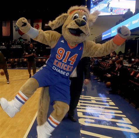 Knicks Mascot With The Westchester @New York Knicks Mascot 🐶🏀 At