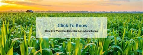 Impact Stories - Jiva Water