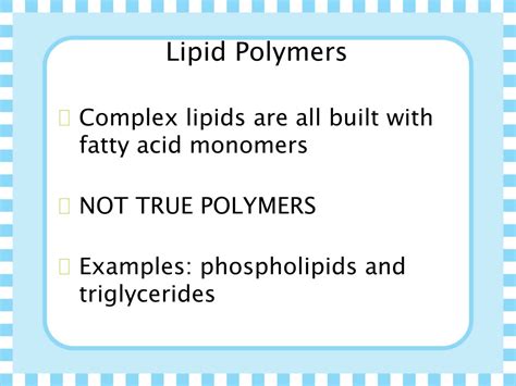 PPT - The Big Four Macromolecules: Carbohydrates, Proteins, Lipids ...