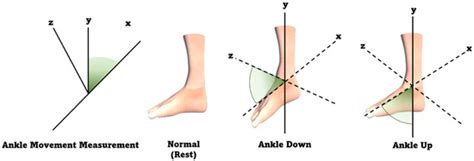 Implementation of the XR Rehabilitation Simulation System for the ...