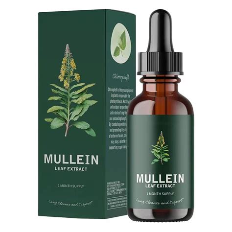 Mullein Drops Mullein Extract Mullein Mullein Leaf Extract, Etherglam Mullein Extract, Super ...
