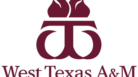 Image result for WTAMU Math Lab