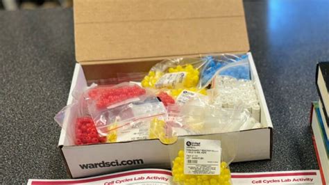 Biological Reproduction Model Kit 的图像结果