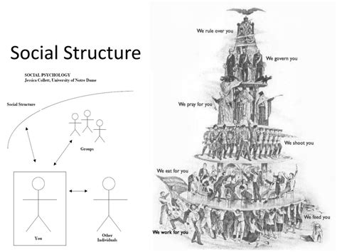 Image result for Social Structure Examples