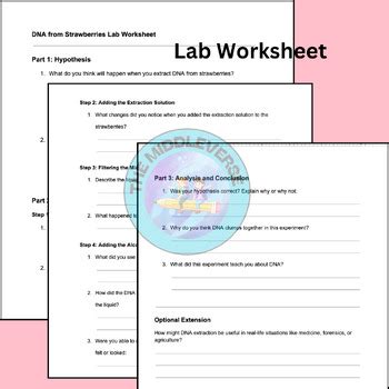 Extracting Strawberry DNA Lab 的图像结果