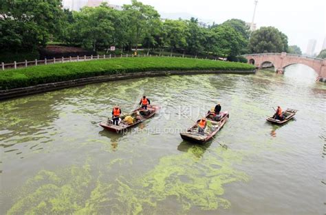 浙江台州：“绿色”河道-人民图片网
