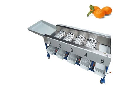 Image result for Fruit Sorting Machine