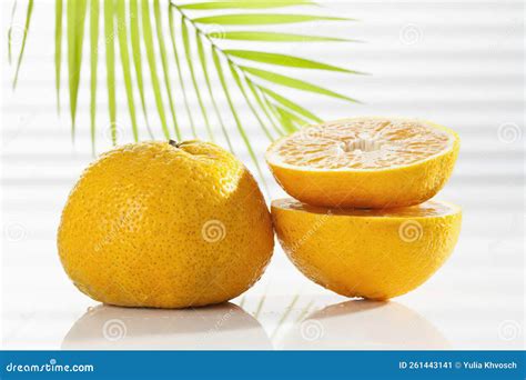 Ugli Fruit, Hybridization of (Citrus Reticulata) with Palm Frond. Stock ...