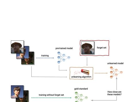 Xplore Machine Learning Models with Explainable Ai Challenge Lab 的图像结果