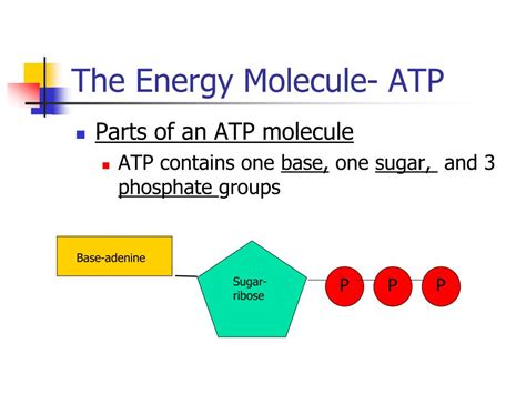 Energy Molecule 的图像结果
