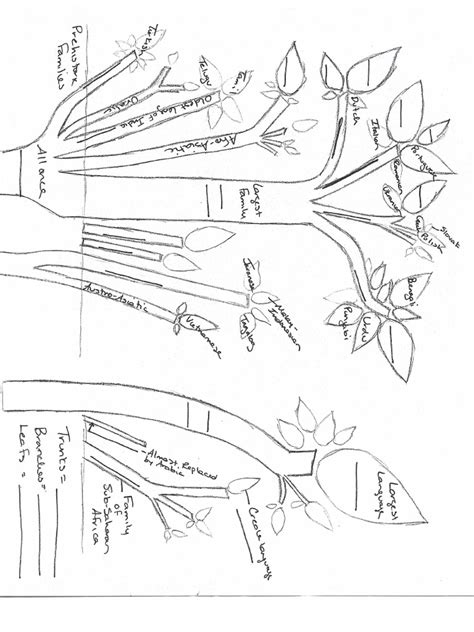 Image result for Borean Language Tree