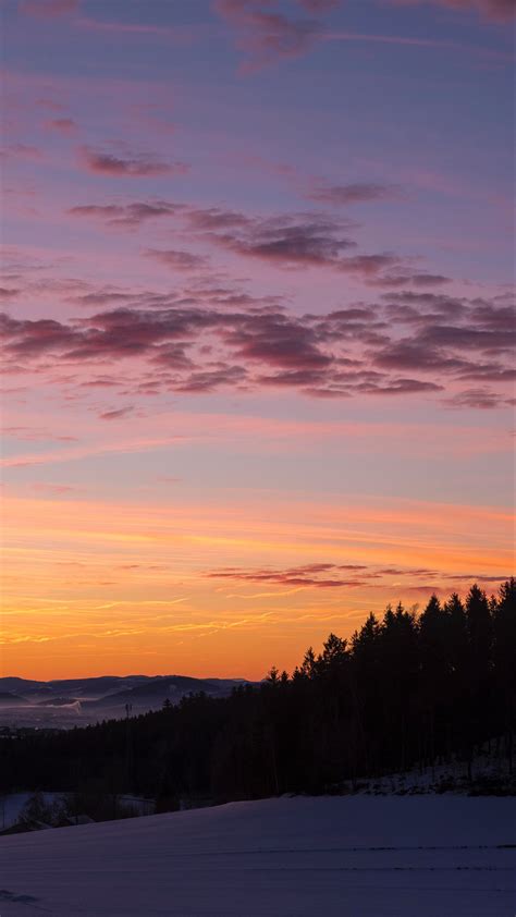 Download wallpaper 1350x2400 sky, trees, dawn, snow, clouds iphone 8+/7 ...