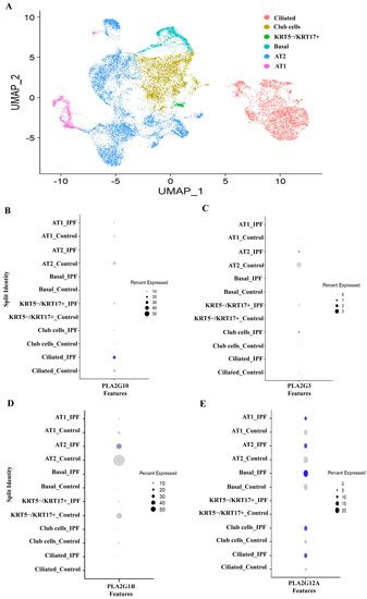 Cellular Distribution of Secreted Phospholipase A2 in Lungs of IPF ...