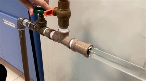 Image result for Fish Exercise Machine