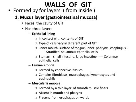 Digestive system anatomy and physiology | PPTX