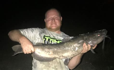 What is it? DEC puts new white catfish fishing record on hold, pending ...