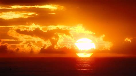 Orange On The Horizon