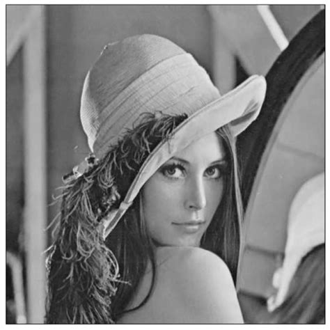 An Efficient Encoding Algorithm Using Local Path on Huffman Encoding ...