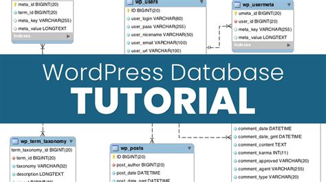 Image result for WordPress Database Management