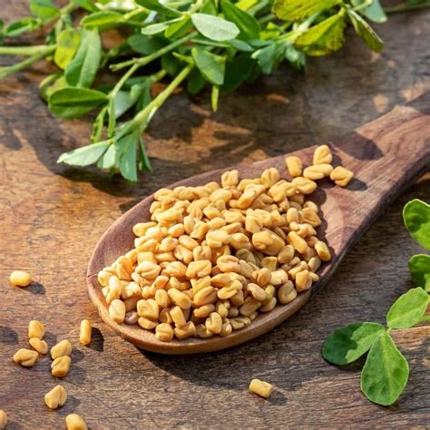 Fenugreek substitutes (5 neat alternatives!)