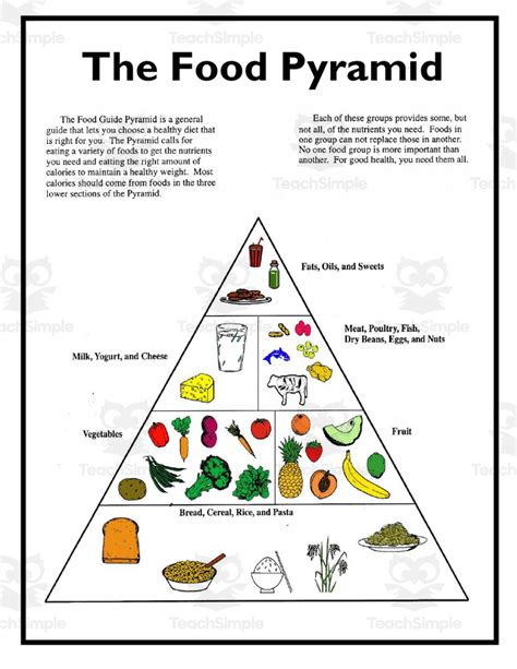 Food Pyramid Project Work 的图像结果