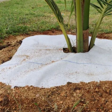 AGRIPLAST WEED MAT - Agriplast Weed Mat (Ground Cover) 130 GSM ...