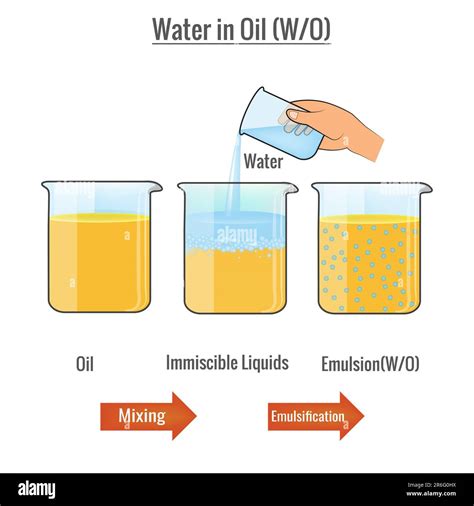 An illustration of immiscible liquids oil and water mixed together in ...