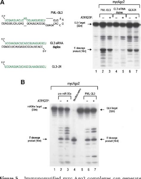 Risc Complex 的图像结果