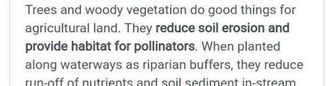 How do trees help in making and conserving in the soil? - Brainly.in