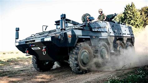 Boxer Vehicle Variants 的图像结果