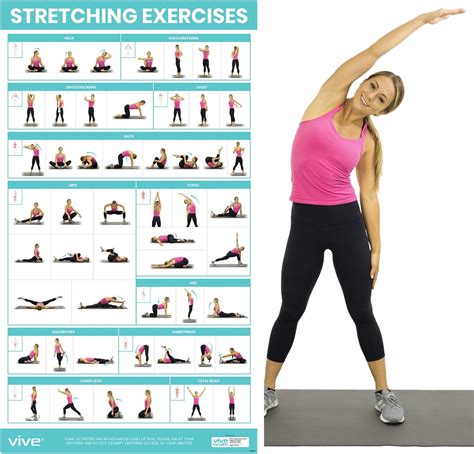 Stretching Exercise Chart 的图像结果