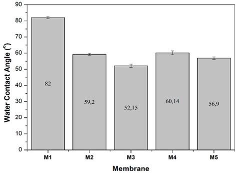 Production of High Flux Poly(Ether Sulfone) Membrane Using Silica ...