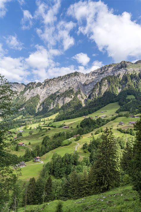 Alps Encoder 的图像结果