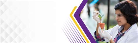 Bachelor of Science with Physics