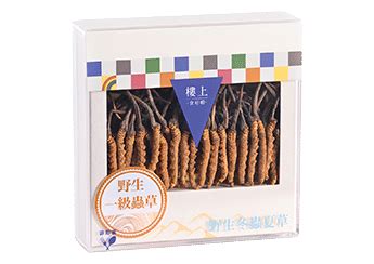 樓上® HK JEBN |海味|花膠|冬蟲草|海參|乾鮑|燕窩|滋補品 - 野生一級蟲草 | 野生冬蟲夏草 | +野生冬蟲夏草 | 產品