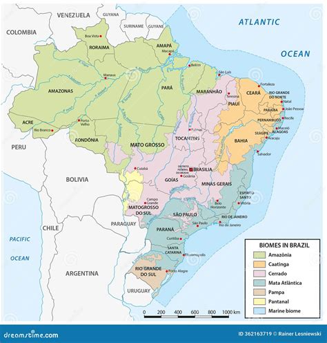 Map of the Distribution of Biomes in Brazil Stock Illustration ...