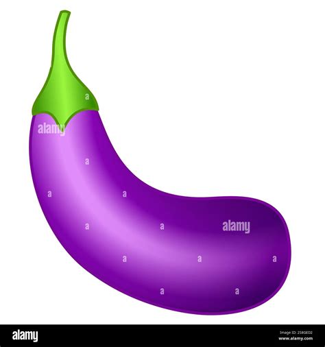 Illustration of an eggplant fruit Stock Vector Image & Art - Alamy