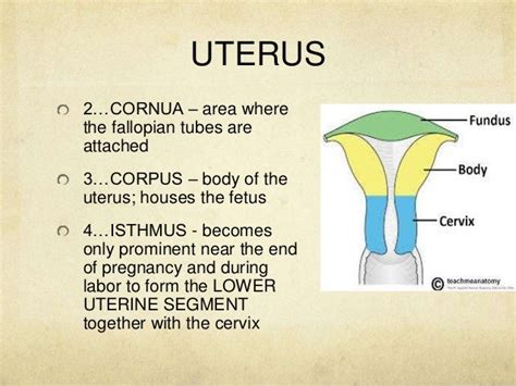 Image result for Computer Course