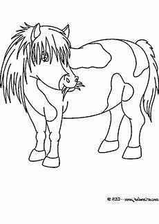 my pony malvorlagen zum drucken pony malvorlagen zum ausdrucken my pertaining to my pony malvorlagen zum drucken pony malvorlagen zum ausdrucken my pertaining to