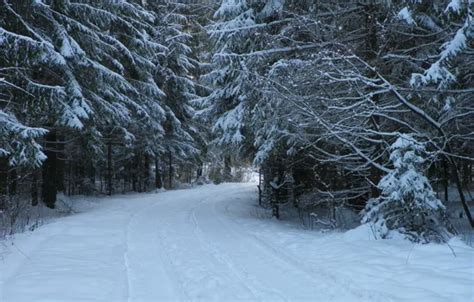 Download wallpaper cold, winter, turn, section nature in resolution ...