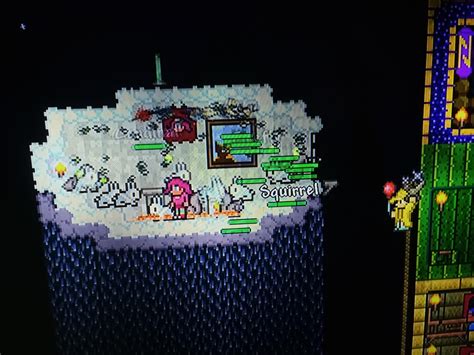 I like throwimg critter parties for my party girl : r/Terraria