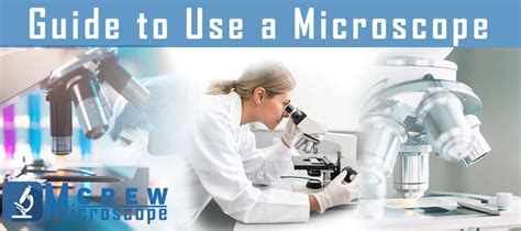 Image result for Step by Step How to Use a Microscope