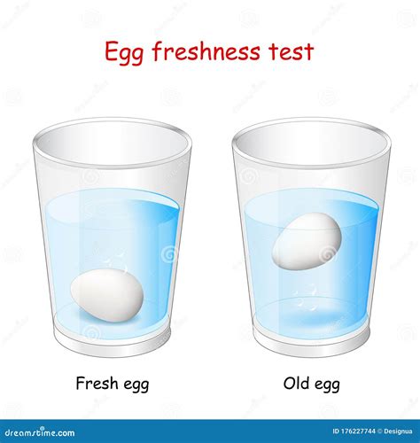 Egg freshness test stock vector. Illustration of science - 176227744